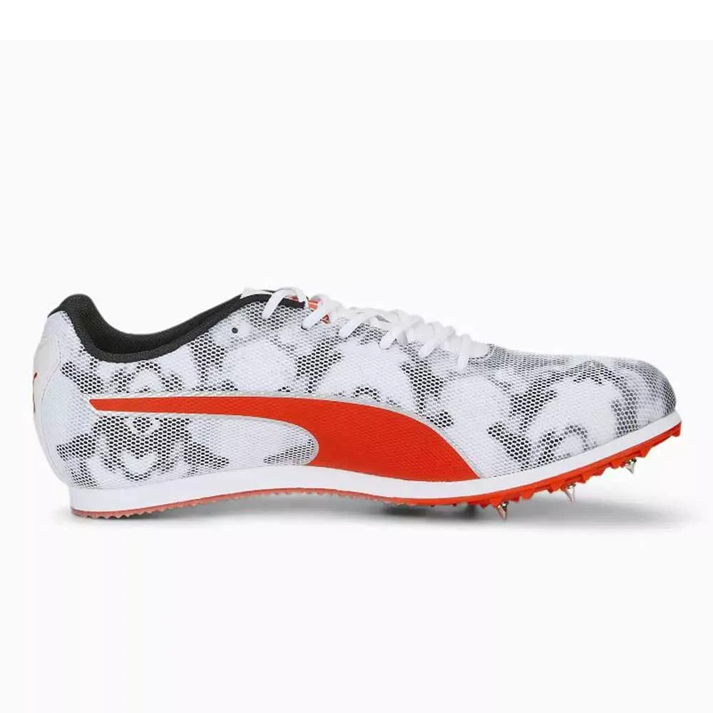 Evospeed Star 8