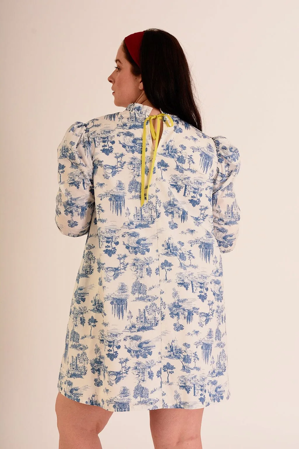 Luella Dress Blue Toile De Jouy