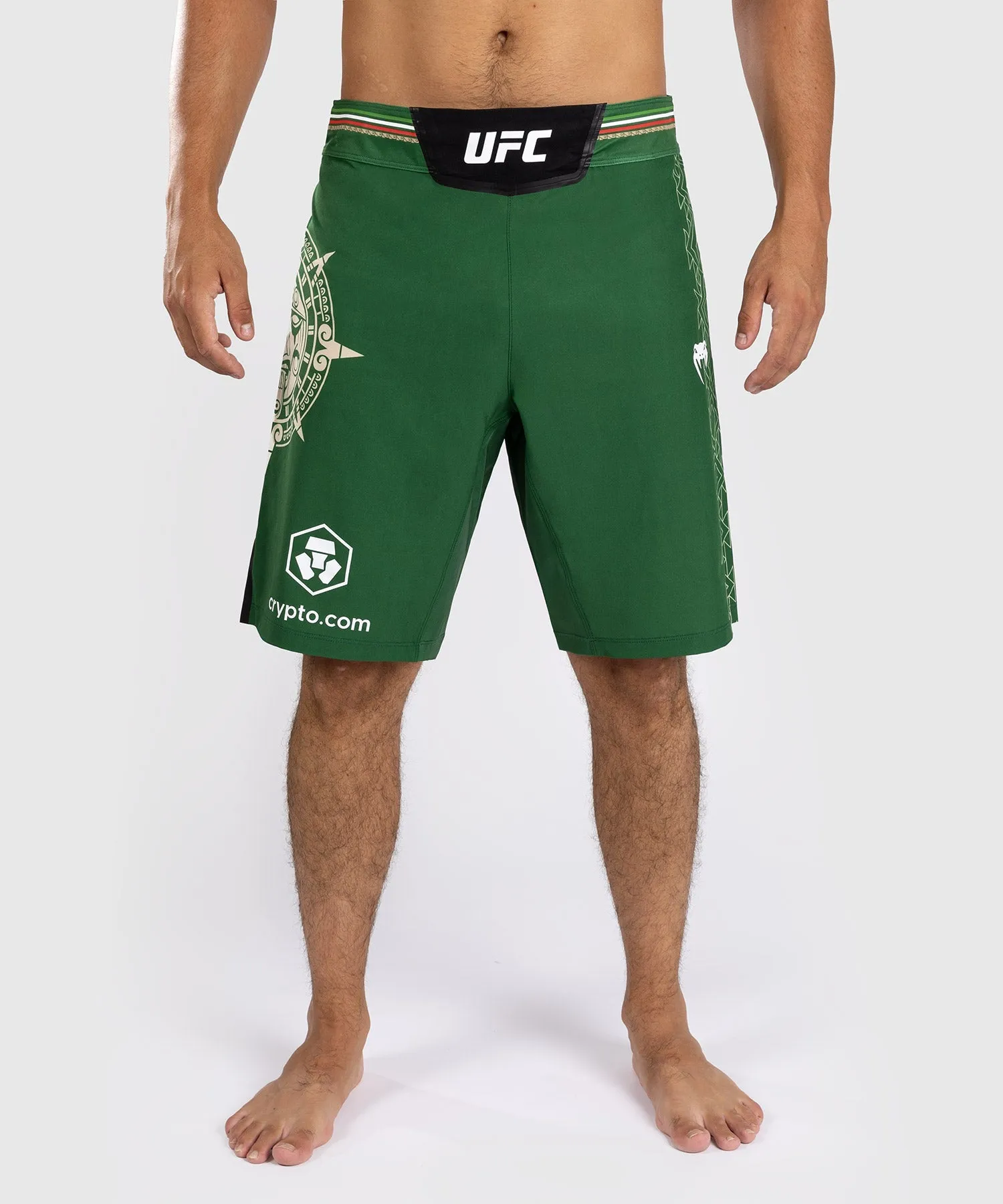 UFC Noche by Venum Personalized Authentic Fight Night Men's Fight Short - Green